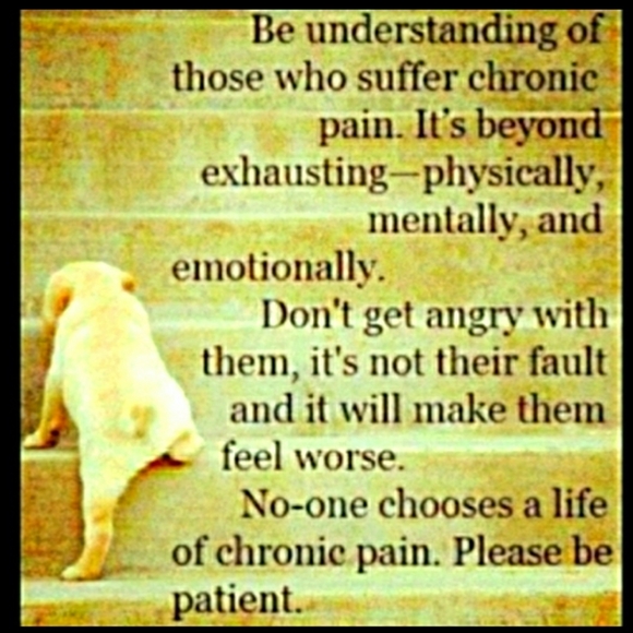 ๐งธ CANADIAN TEDDY BEAR HUDSONโS BAY Olympic Team 2012 Plush Lovable ๐งธ - Picture 3 of 16